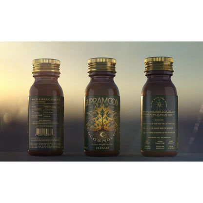 Golden Glow: Supramood Elixir Kava, Passion Fruit, Coconut, Ginger | Millenium Smoke Shop